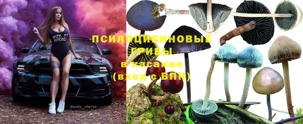 скорость Белокуриха