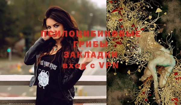 скорость Белокуриха